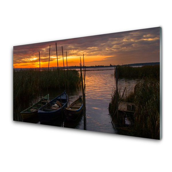 Glass Wall Art Boats sea grass landscape brown white green grey