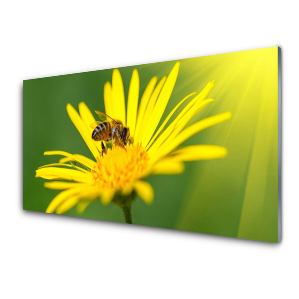 Glass Wall Art Wasp flower floral black yellow