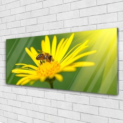 Glass Wall Art Wasp flower floral black yellow