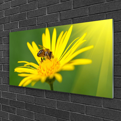 Glass Wall Art Wasp flower floral black yellow