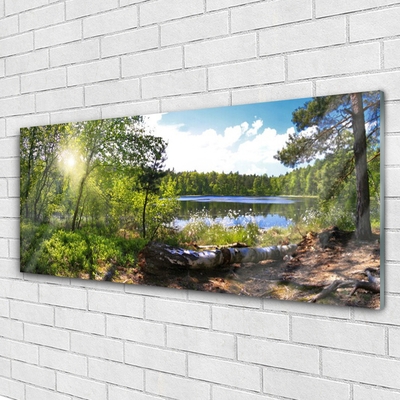 Glass Wall Art Forest lake nature brown green