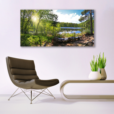 Glass Wall Art Forest lake nature brown green