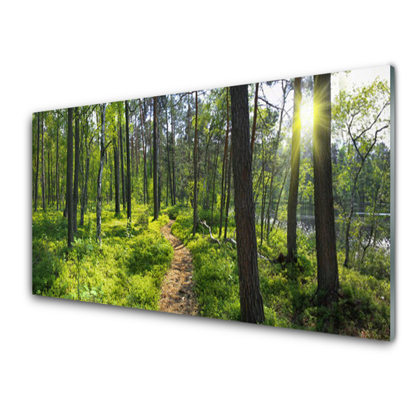 Glass Wall Art Forest nature brown green