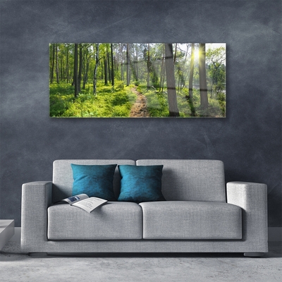 Glass Wall Art Forest nature brown green