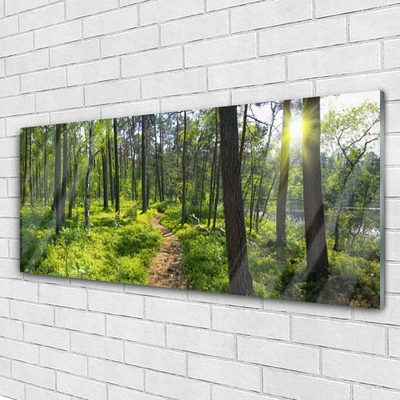 Glass Wall Art Forest nature brown green