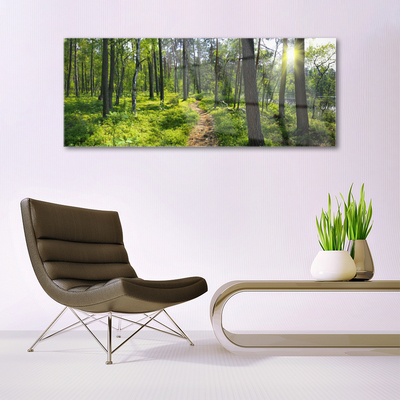 Glass Wall Art Forest nature brown green