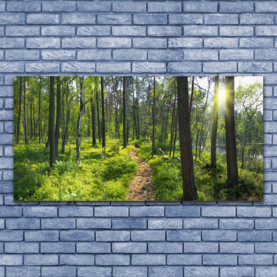 Glass Wall Art Forest nature brown green