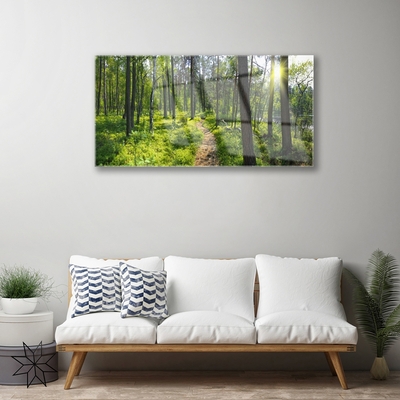 Glass Wall Art Forest nature brown green