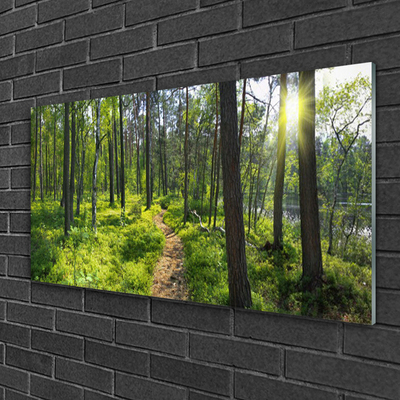 Glass Wall Art Forest nature brown green