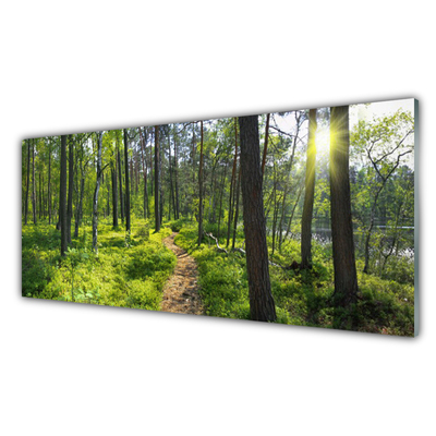 Glass Wall Art Forest nature brown green