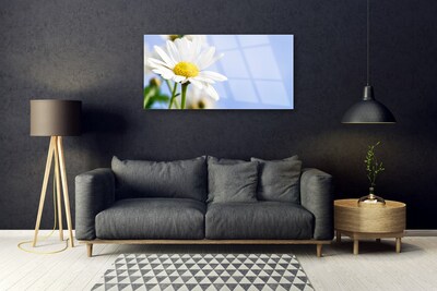 Glass Wall Art Daisy floral yellow white