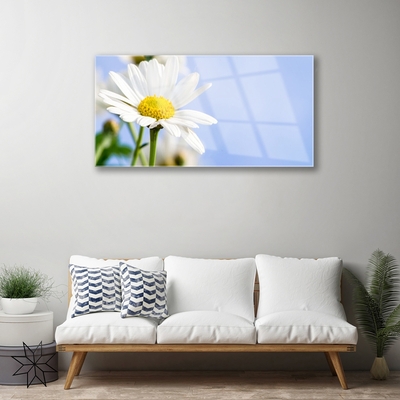 Glass Wall Art Daisy floral yellow white