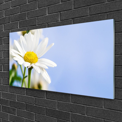 Glass Wall Art Daisy floral yellow white