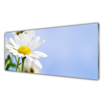 Glass Wall Art Daisy floral yellow white