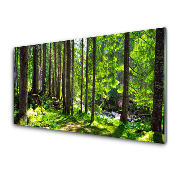 Glass Wall Art Forest nature brown green