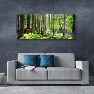 Glass Wall Art Forest nature brown green