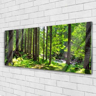 Glass Wall Art Forest nature brown green