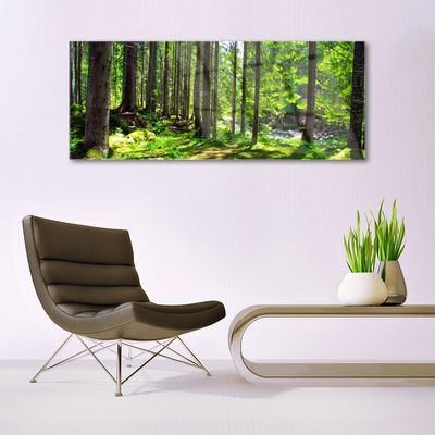 Glass Wall Art Forest nature brown green