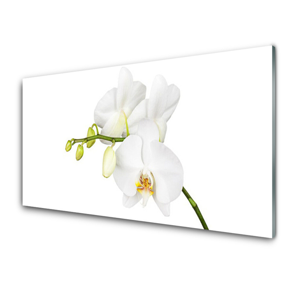 Glass Wall Art Flowers floral white