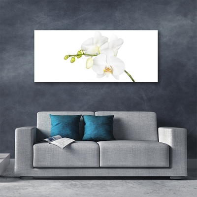 Glass Wall Art Flowers floral white