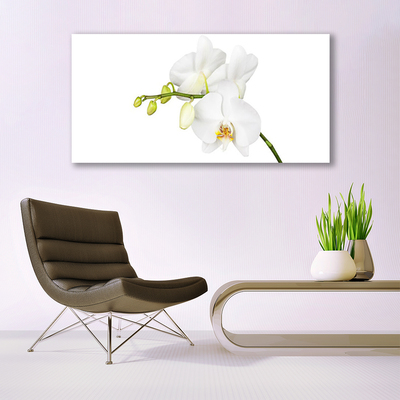 Glass Wall Art Flowers floral white