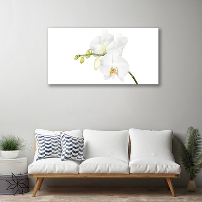 Glass Wall Art Flowers floral white