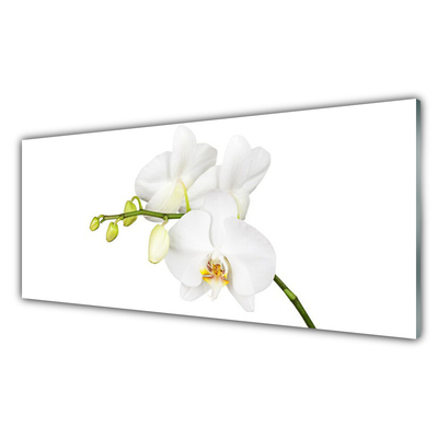 Glass Wall Art Flowers floral white