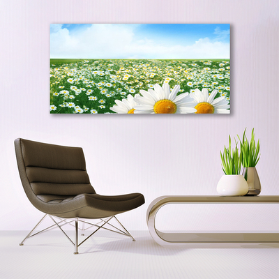 Glass Wall Art Meadow daisies floral green white yellow