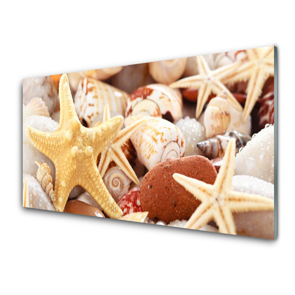 Glass Wall Art Seastar shells art yellow white brown