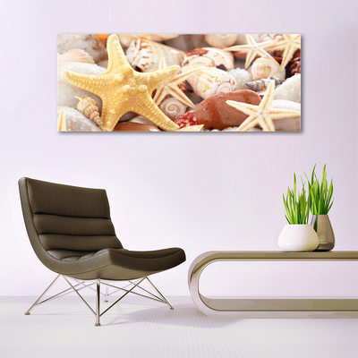 Glass Wall Art Seastar shells art yellow white brown