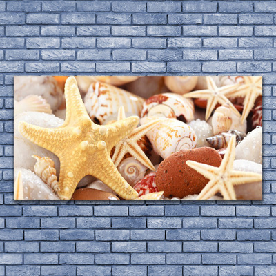 Glass Wall Art Seastar shells art yellow white brown