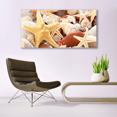 Glass Wall Art Seastar shells art yellow white brown