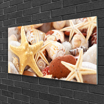 Glass Wall Art Seastar shells art yellow white brown