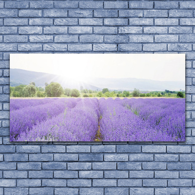 Glass Wall Art Meadow flowers nature purple