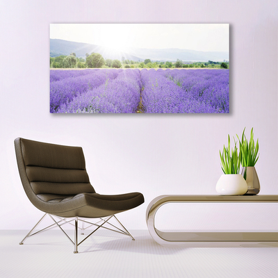 Glass Wall Art Meadow flowers nature purple