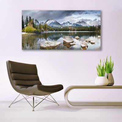 Glass Wall Art Mountain forest lake landscape grey brown green