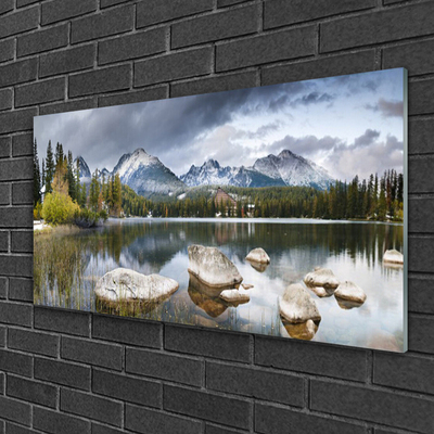 Glass Wall Art Mountain forest lake landscape grey brown green