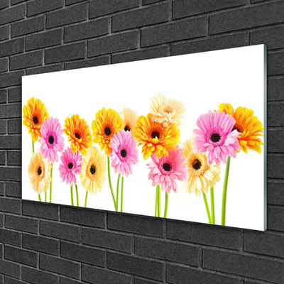 Glass Wall Art Flowers floral yellow pink green