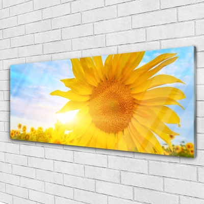 Glass Wall Art Sunflower floral yellow