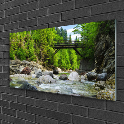 Glass Wall Art Forest bridge lake stones landscape brown green grey