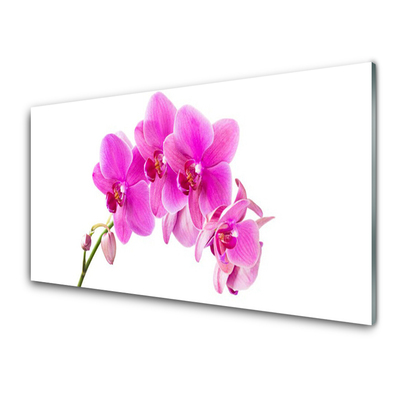 Glass Wall Art Flowers floral pink