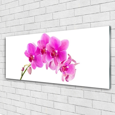 Glass Wall Art Flowers floral pink