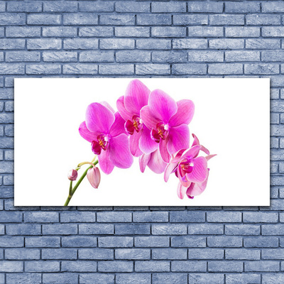 Glass Wall Art Flowers floral pink