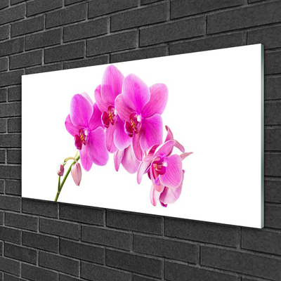 Glass Wall Art Flowers floral pink