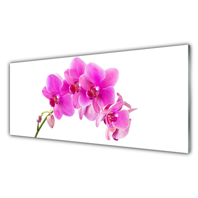 Glass Wall Art Flowers floral pink