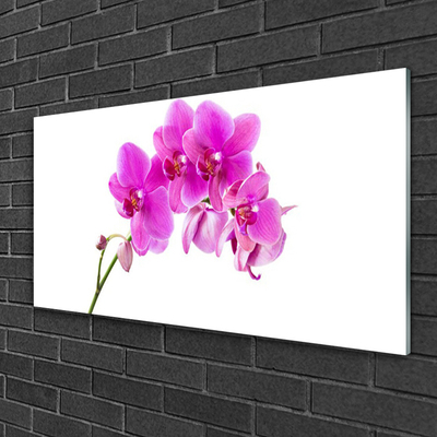 Glass Wall Art Flowers floral pink