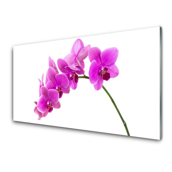 Glass Wall Art Flowers floral pink