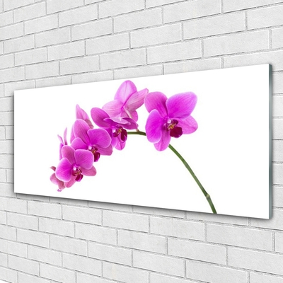 Glass Wall Art Flowers floral pink