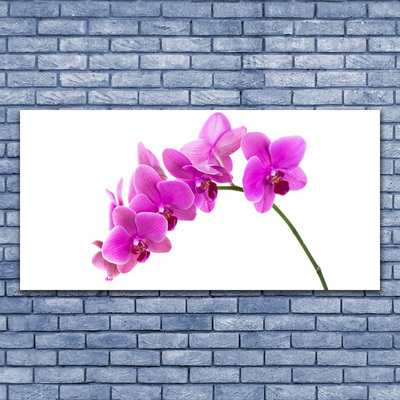 Glass Wall Art Flowers floral pink