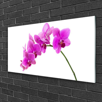 Glass Wall Art Flowers floral pink